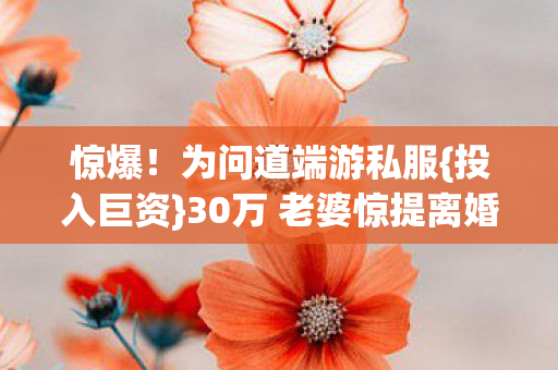 30万 老婆惊提离婚图片