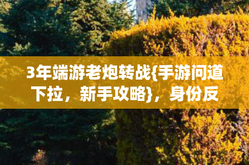 3年端游老炮转战图片