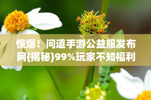 问道手游公益服发布网图片