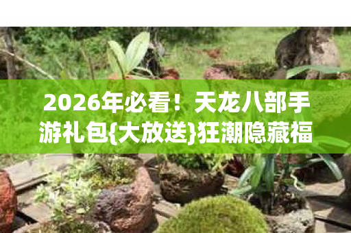天龙八部手游礼包图片