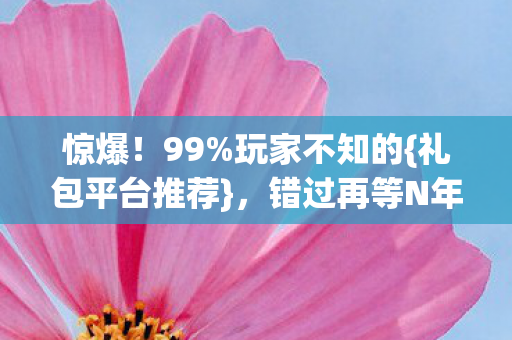 礼包平台推荐图片