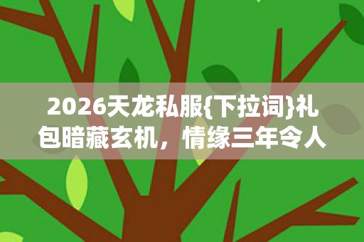 2026天龙私服图片