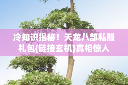 天龙八部私服礼包图片