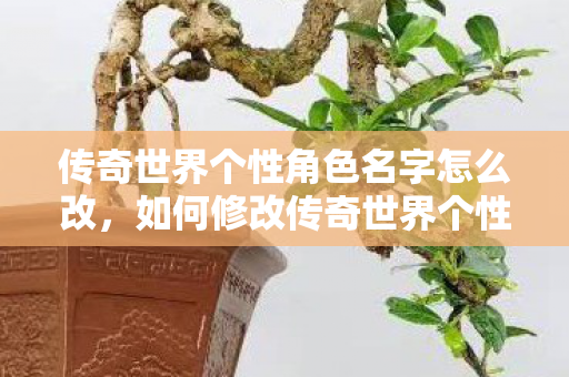 传奇世界个性角色名字怎么改,如何修改传奇世界个性角色名字? 传奇世界个性角色名字怎么改,如何修改传奇世界个性角色名字?