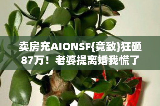 卖房充AIONSF图片