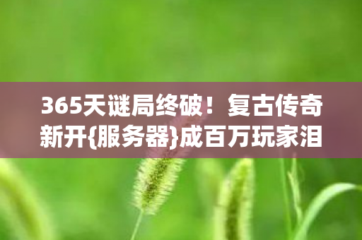 成百万玩家泪目终点图片
