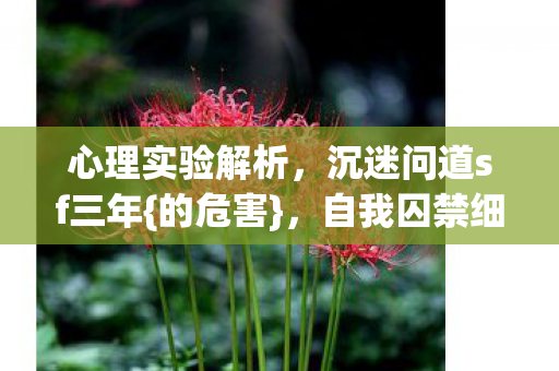 沉迷问道sf三年图片