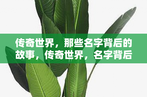 传奇世界,那些名字背后的故事,传奇世界,名字背后的故事揭秘 传奇世界,那些名字背后的故事,传奇世界,名字背后的故事揭秘