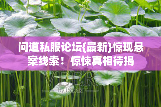 问道私服论坛图片