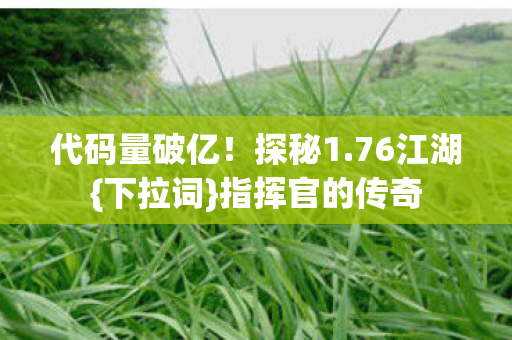指挥官的传奇图片
