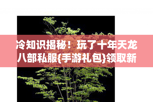 玩了十年天龙八部私服图片