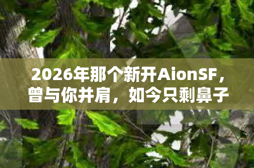 2026年那个新开AionSF图片