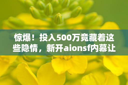 新开aionsf内幕让人吓一跳图片