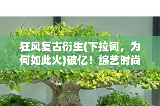 综艺时尚皆沦陷图片
