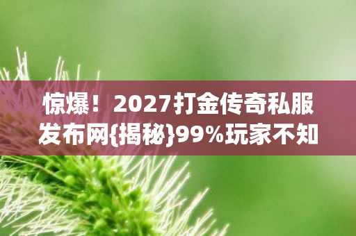 2027打金传奇私服发布网图片