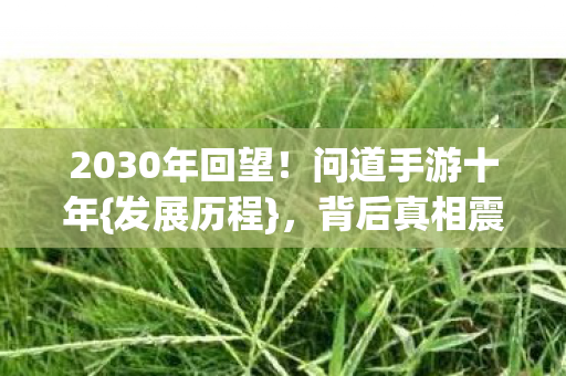 2030年回望图片