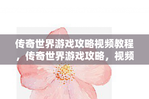 传奇世界游戏攻略视频教程图片