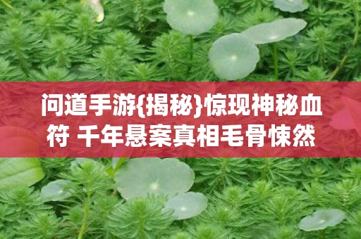 惊现神秘血符 千年悬案真相毛骨悚然图片