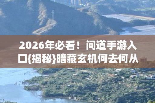 暗藏玄机何去何从图片