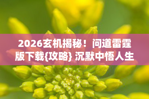 2026玄机揭秘图片