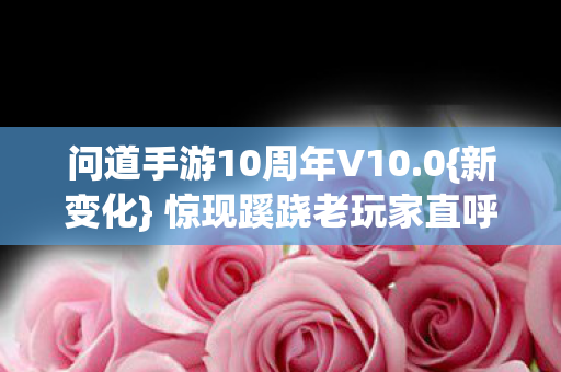 问道手游10周年V10图片
