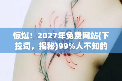 2027年免费网站图片