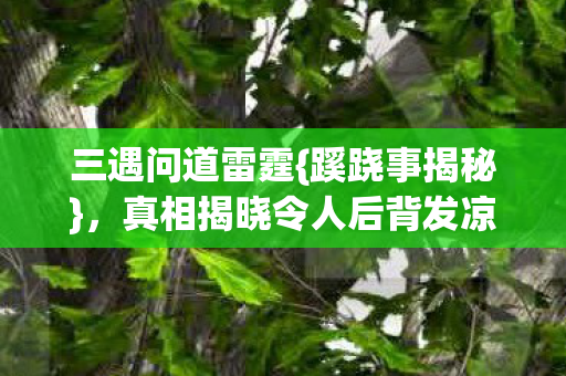 真相揭晓令人后背发凉图片