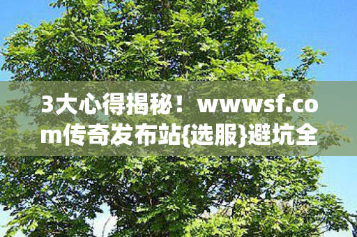 com传奇发布站图片