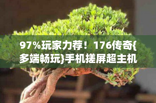 手机搓屏超主机体验图片