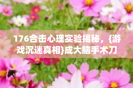 176合击心理实验揭秘图片