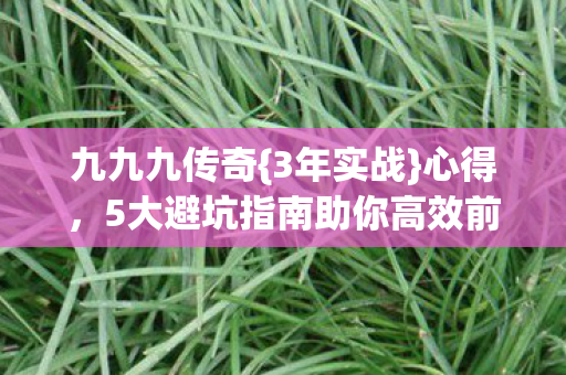 5大避坑指南助你高效前行图片