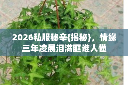 情缘三年凌晨泪满眶谁人懂图片