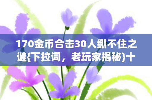 170金币合击30人绷不住之谜图片