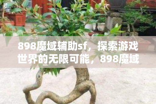 探索游戏世界的无限可能图片