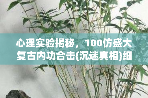 100仿盛大复古内功合击图片