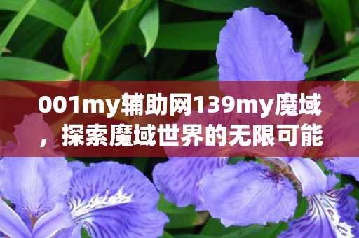 001my辅助网139my魔域图片