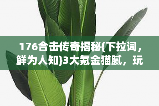 176合击传奇揭秘图片