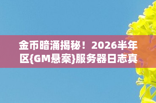 2026半年区图片