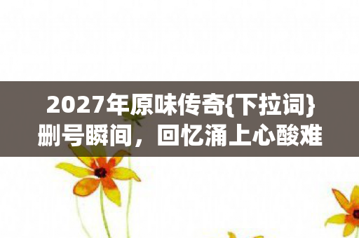 2027年原味传奇图片