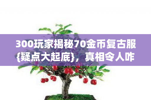 300玩家揭秘70金币复古服图片
