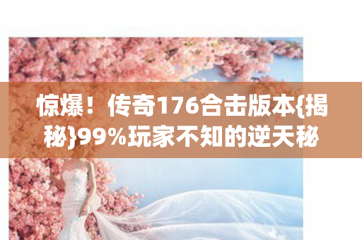传奇176合击版本图片