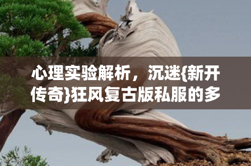 狂风复古版私服的多巴胺陷阱图片