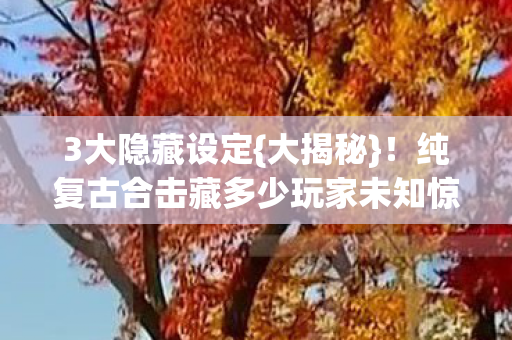 纯复古合击藏多少玩家未知惊喜遗憾图片