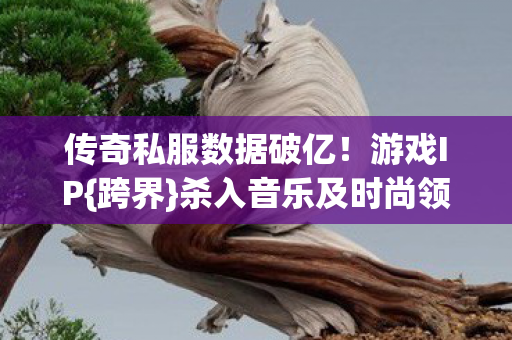 杀入音乐及时尚领域图片