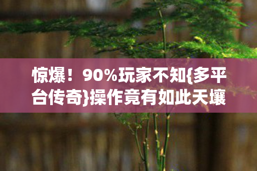 操作竟有如此天壤之别图片