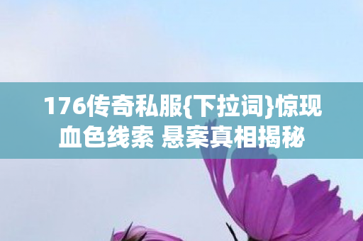 惊现血色线索 悬案真相揭秘图片