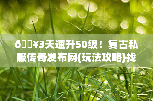复古私服传奇发布网图片