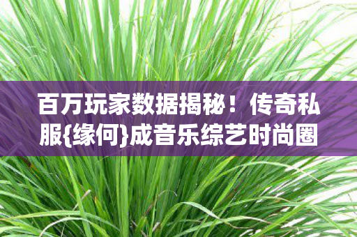 成音乐综艺时尚圈新宠图片