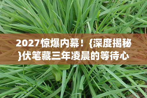 伏笔藏三年凌晨的等待心酸图片