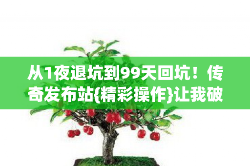 从1夜退坑到99天回坑图片